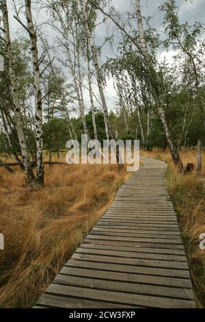 La foto dall'area protetta nazionale della Repubblica Ceca chiamata SOOS. L'ex zona di estrazione della torba. Foto Stock