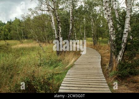 La foto dall'area protetta nazionale della Repubblica Ceca chiamata SOOS. L'ex zona di estrazione della torba. Foto Stock