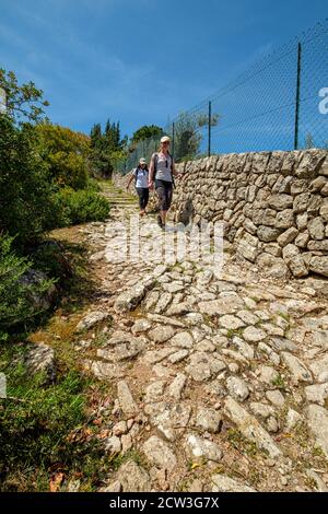 Camí des Monts-Reials, valle de Soller, Maiorca, Isole Baleari, Spagna Foto Stock