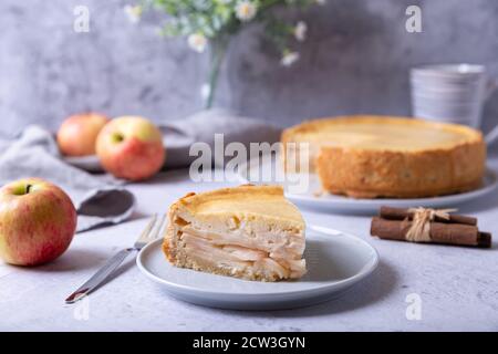 Torta di mele con cannella e panna acida. Cottura fatta in casa. Torta russa tradizionale. Primo piano. Foto Stock