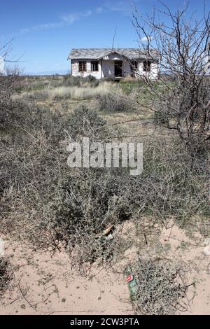 Spooky vecchia casa abbandonata dipinta di bianco con le ossa di animale sbiancate dal sole dentro il cantiere Foto Stock