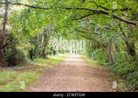 Persone che camminano sulla strada romana / corsia verde che Attraversa la campagna Cambridgeshire Cambridge Inghilterra UK Foto Stock