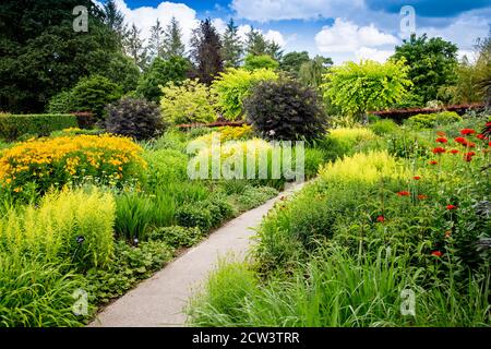 Colorati confini erbacei estivi nel Giardino caldo a RHS Rosemoor, Great Torrington, Devon, Inghilterra, Regno Unito Foto Stock