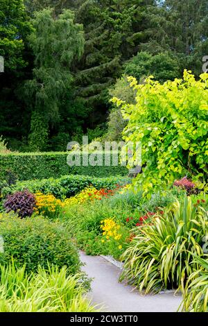 Colorati confini erbacei estivi nel Giardino caldo a RHS Rosemoor, Great Torrington, Devon, Inghilterra, Regno Unito Foto Stock