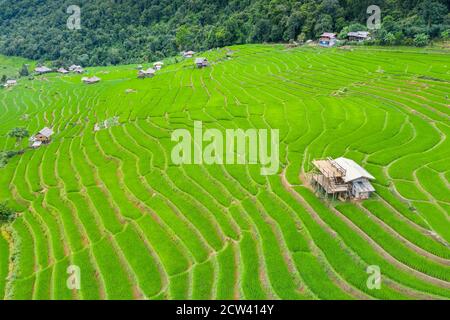 Vista aerea della terrazza del riso al Ban pa Bong Piang a Chiang mai, Thailandia. Foto Stock