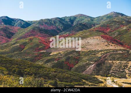 Park City, Utah, USA fogliame lungo il Wasatch Torna in autunno. Foto Stock