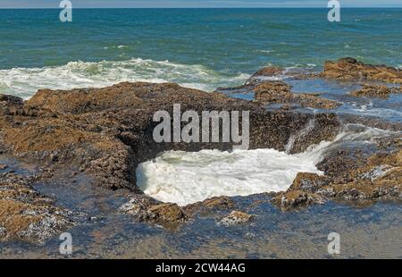 Thor's Well Sinkhole sulla costa dell'oceano a Capo Perpetua In Oregon Foto Stock