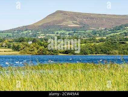 Llangors Lake o Llyn Syfaddan nelle Montagne nere di Galles guardando verso Mynydd Troed Foto Stock