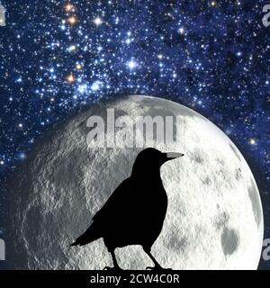 silhouette di un corvo di fronte a una luna piena Foto Stock