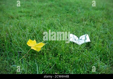 Una foglia gialla e un libro di storia aperto con un spettacolo su di esso su erba verde letto in un parco Foto Stock