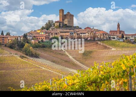 Vigneti, vicino a Alba Langhe, Piemonte, Italia Foto Stock