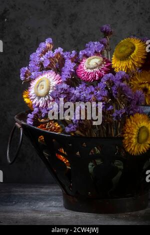 Foto di vita morta di fiori secchi vivi nel punto di Nizza Leggero Foto Stock