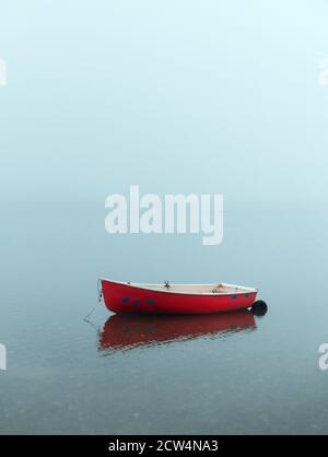 Remi rossi sulla mattina nuda nebbiosa. Foto Stock