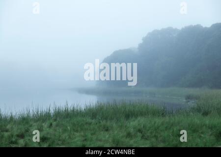 Mill Pond avvolta nella nebbia mattutina, Orleans, Cape Cod, Massachusetts, USA. Foto Stock