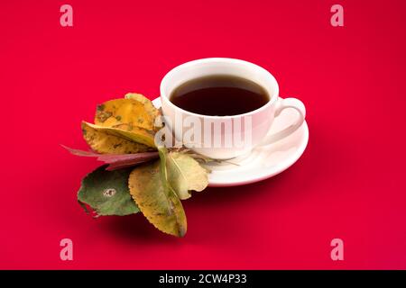 Foglie secche d'autunno, una tazza di tè e un piatto su sfondo rosso. Concetto di un biglietto d'auguri autunnale, invito. Foto Stock