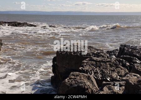 Turnstone/s su una roccia con le onde che si schiantano nel lato della roccia, i turnstones sono levati via dallo spruzzo delle onde entranti. Foto Stock