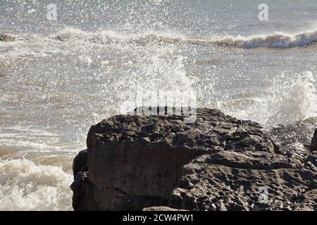 Turnstone/s su una roccia con le onde che si schiantano nel lato della roccia, i turnstones sono levati via dallo spruzzo delle onde entranti. Foto Stock