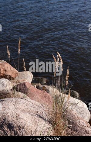 Costa baltica con rocce, Glowe, Ruegen, Germania Foto Stock