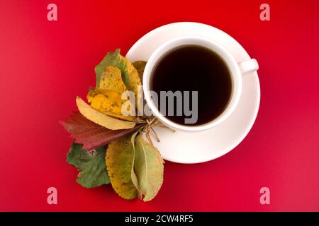 Foglie d'autunno con una tazza di tè alle erbe su sfondo rosso. Foto Stock