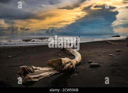 Bella scena di una tavola di legno su una sabbia shore Foto Stock