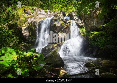 Scenic Double (Dvojni) cascata nelle foreste sopra il villaggio Senokos in Serbia, montagna vecchia, circondata da vivide piante verdi e illuminato dal sole Foto Stock