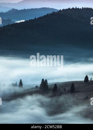 Paesaggio nebby panorama.Foggy nuvole sopra alberi di foresta. Foto Stock