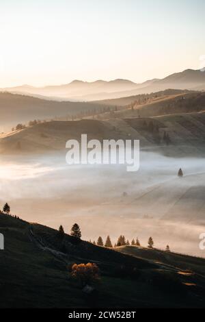 Meraviglioso scenario autunnale al mattino presto con montagne coperte di nebbia A Bucovina, Romania Foto Stock
