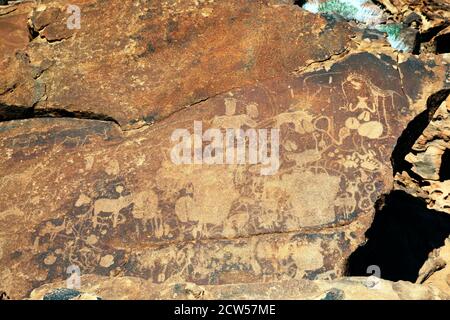 Incisioni rupestri preistoriche di animali che adornano lastre di arenaria a Twyfelfontein, Namibia. Si ritiene che le incisioni abbiano fino a 6000 anni. Foto Stock