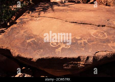 Incisioni rupestri preistoriche di animali che adornano lastre di arenaria a Twyfelfontein, Namibia. Si ritiene che le incisioni abbiano fino a 6000 anni. Foto Stock