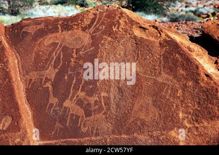 Incisioni rupestri preistoriche di animali adornano una lastra di arenaria a Twyfelfontein, Namibia. Si ritiene che le incisioni abbiano fino a 6000 anni. Foto Stock