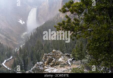 cascate inferiori del parco nazionale di yellowstone nel grande canyon in inverno nel wyoming negli stati uniti Foto Stock