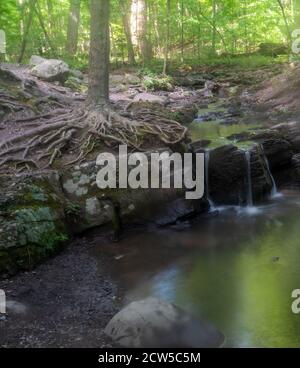 Immagine full frame della cascata della foresta che si sovrappone a un'antica formazione rocciosa. L'acqua è liscia e riflette i colori della foresta in un tiro a lunga esposizione. Foto Stock