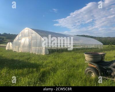 Serre in azienda agricola biologica in soleggiato campo erboso fuoristrada veicolo in primo piano grande cielo blu piante giovani visibili all'interno. Foto Stock