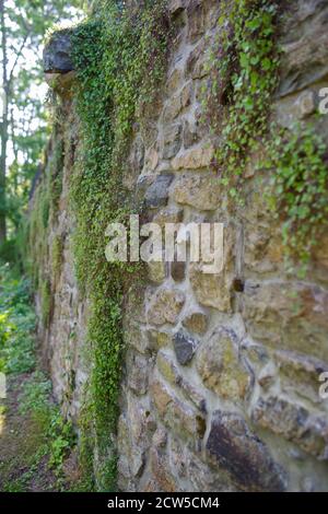 Immagine full frame in luce naturale di massiccia muratura vittoriana costruita a mano in pietra. La caratteristica architettonica francese drain in alto. Morbido edera e ruvida parete textu Foto Stock