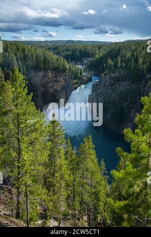 cascate superiori del parco nazionale di yellowstone nel wyoming in stati uniti Foto Stock