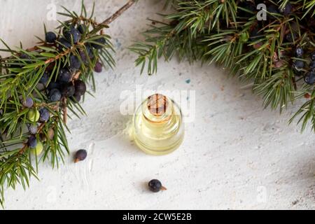 Una bottiglia di olio essenziale con rametti di ginepro freschi uno sfondo bianco Foto Stock