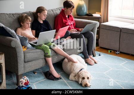 I fratelli lavorano sui laptop sul divano in soggiorno, con il cane della famiglia Foto Stock