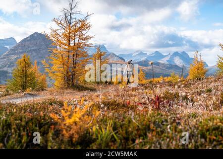 Escursioni Healey Pass vicino Egypt Lakes a Banff durante l'autunno Foto Stock