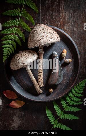 Funghi freschi e commestibili in scatola di legno su tavola di legno Foto Stock