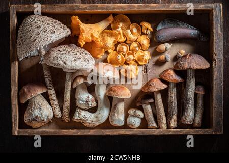 Mescolare i vari funghi in una scatola di legno su un tavolo di legno Foto Stock