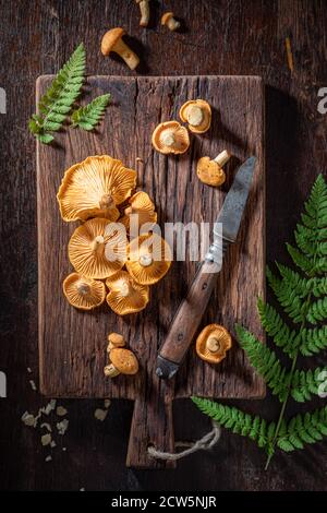 Primo piano di funghi chanterelle freschi e selvatici su legno vecchio scheda Foto Stock