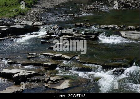 Fiume di montagna selvaggio. Acqua corrente su pietre. Primo piano fiume montagna. Fiume Prut nei Carpazi in Ucraina Foto Stock