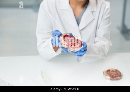 Mani gugorate di ricercatrice femminile in bianco contenente piatto di Petri con carne cruda Foto Stock