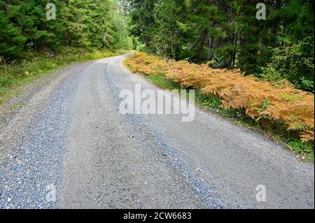 strada in ghiaia con fienile arancione sulla strada Foto Stock