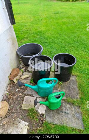 secchi e lattine di irrigazione riempite di acqua piovana Foto Stock