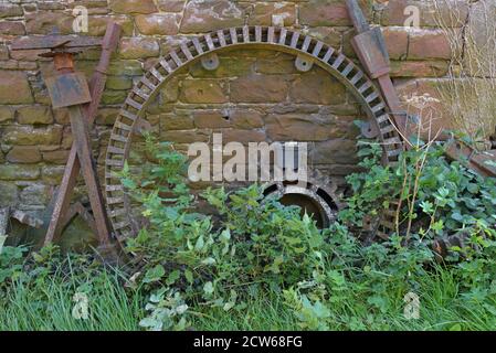 Grandi ingranaggi e ruote di mulino arrugginiscono in sottobosco su Una fattoria in Cumbria Foto Stock