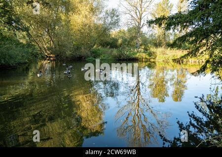 Oxford, Oxfordshire, Regno Unito. 27 settembre 2020. Passeggiata autunnale. Le temperature sono diminuite rendendo il tempo fresco e fresco mentre il sole splende e t Foto Stock