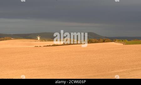 Ashcombe Windmill, Kingston, Lewes East Sussex Foto Stock