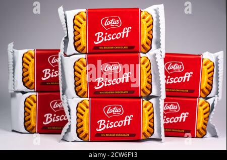 Pacchetti di biscotti belgi al cioccolato Lotus Biscoff impilati verticalmente uno sfondo bianco Foto Stock