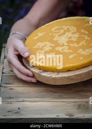 Donna che tiene un pezzo arrotondato giallo di cera d'api fusa su un tavolo di legno. Spazio di copia Foto Stock